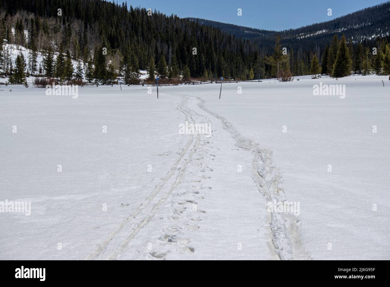 Les pistes de ski de fond et de raquettes marquent un paysage couvert de neige au parc national de State Forest, dans les montagnes Rocheuses du Colorado Banque D'Images