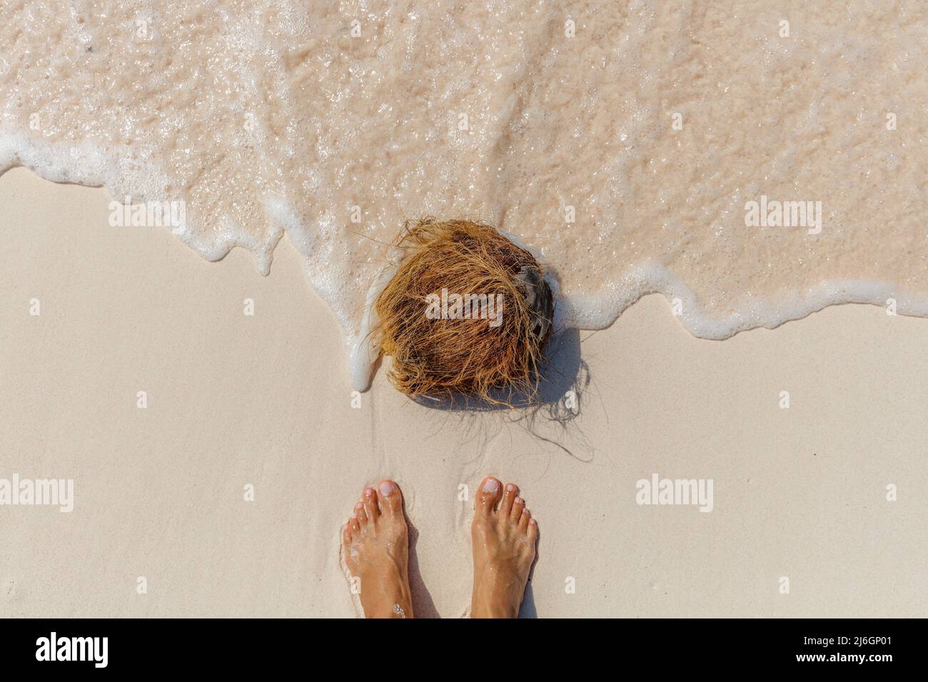 Pieds sur la plage près d'une noix de coco tombée. Plage de sable blanc de Loedi à l'île de Rote, province de Nusa Tenggara est, Indonésie Banque D'Images