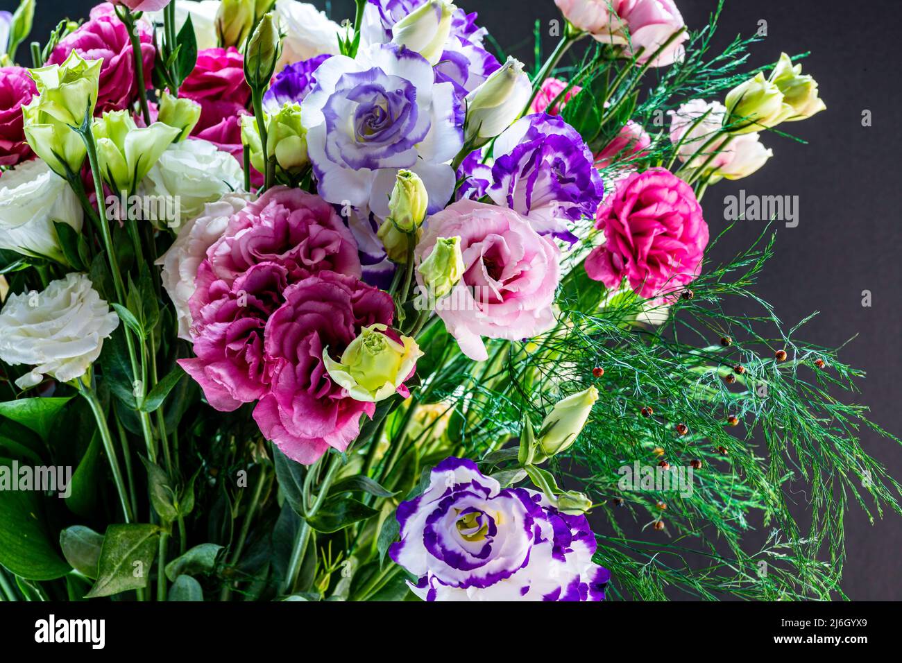 Bouquet de fleurs de Gentian Lisianthus Eustoma multicolore de Prairie gros plan Banque D'Images