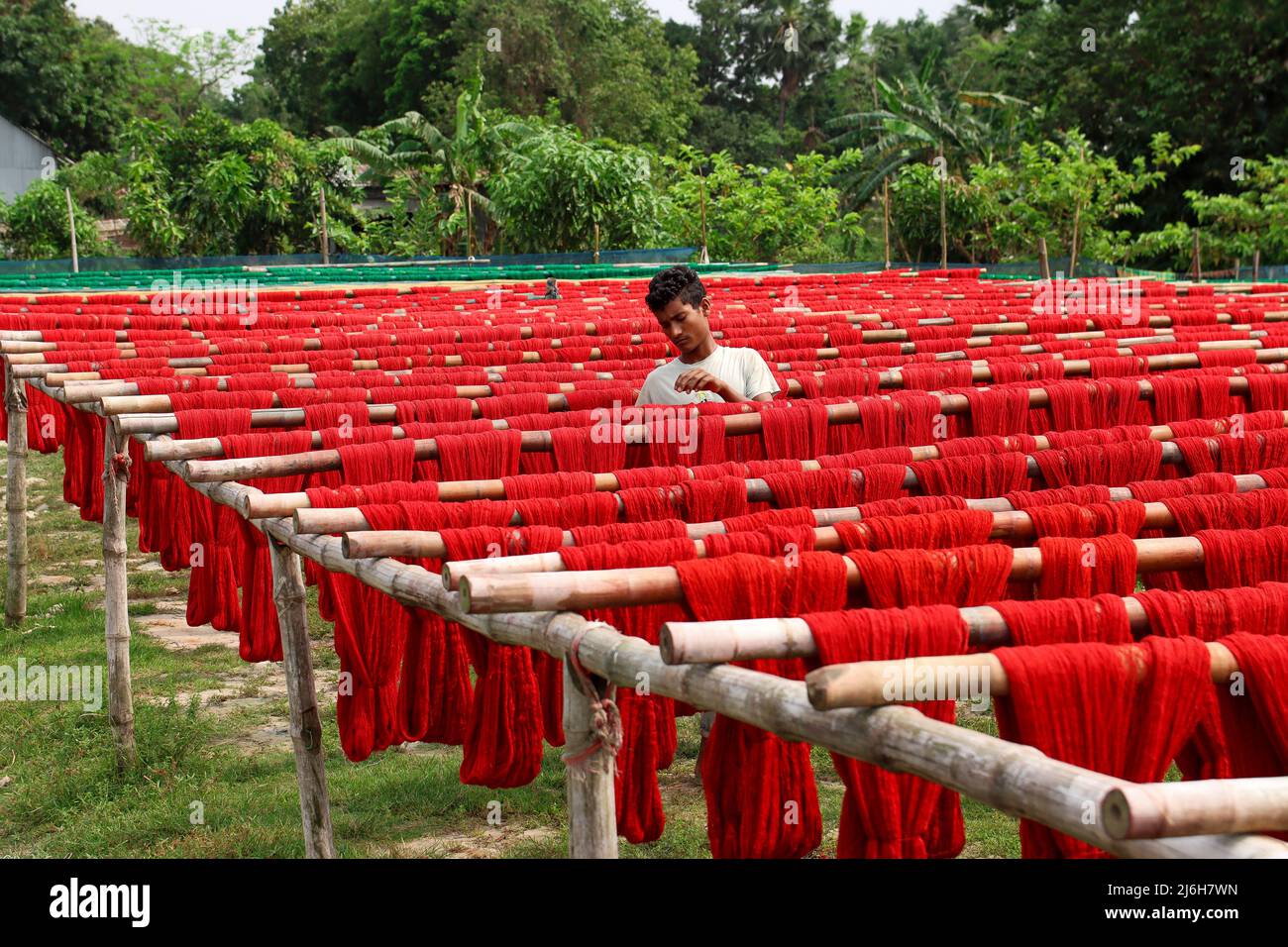 Séchage des fils Banque D'Images