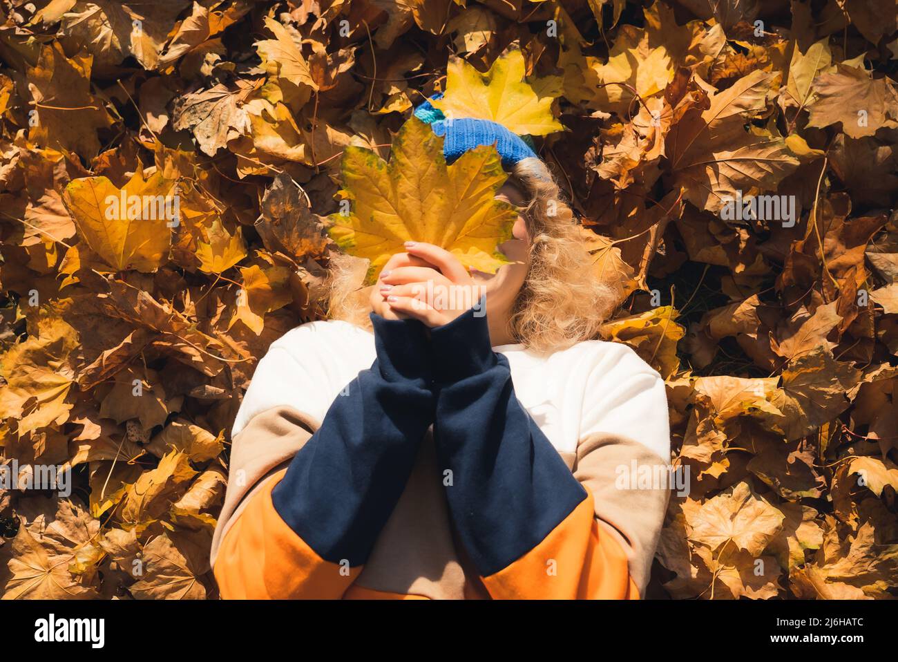 Personne caucasienne se posant sur des feuilles automnales et se cachant leur visage derrière de grandes feuilles jaunes. Plan d'extérieur, concept d'activités de loisirs. Photo de haute qualité Banque D'Images