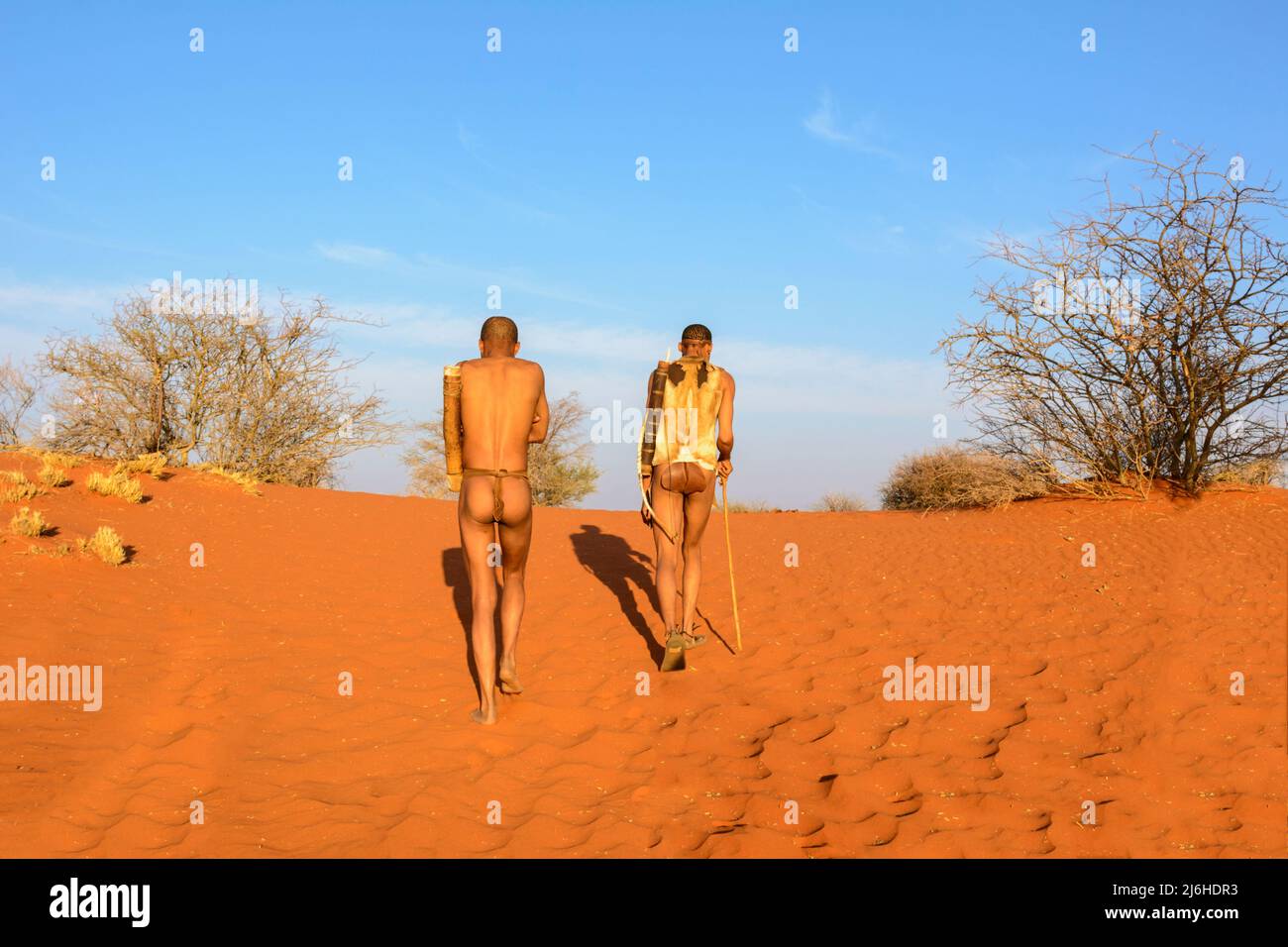 San (Saan) les Bushmen, chasseurs-cueilleurs indigènes semi-nomades, vivent en Afrique australe depuis 20 000 ans, dans le désert de Kalahari, en Namibie, en Afrique Banque D'Images