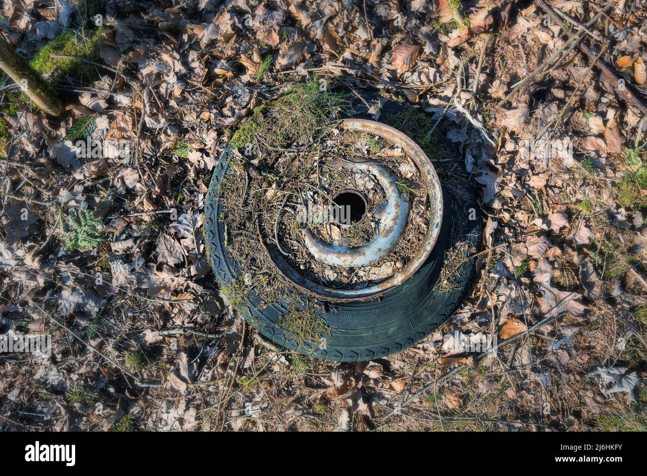 Pneu usé et déversé dans une forêt Banque D'Images