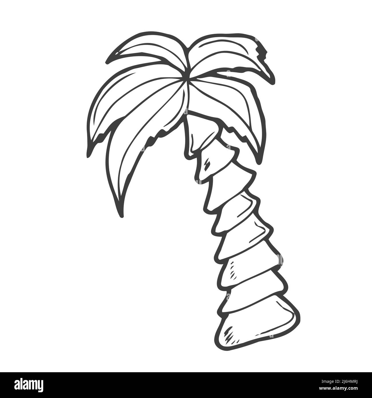 Illustration du vecteur Palm Tree. Style Doodle. Illustration de Vecteur