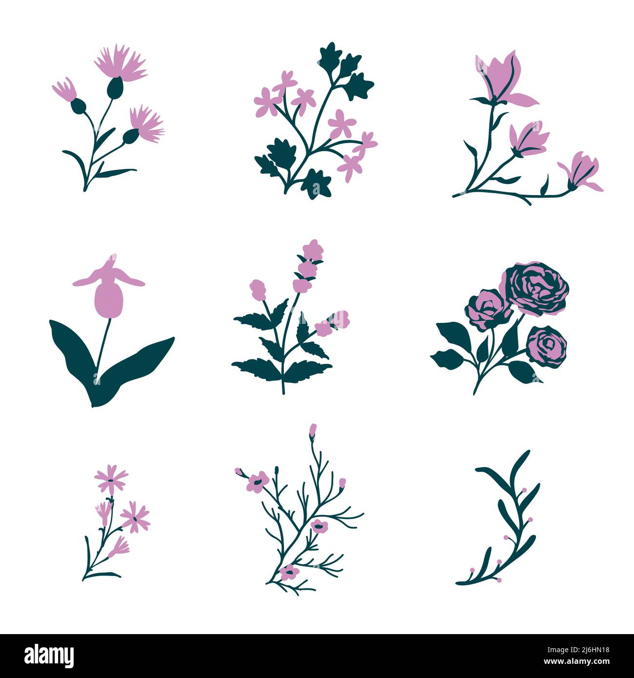 Ensemble isolé de fleurs simples vectorielles roses Illustration de Vecteur