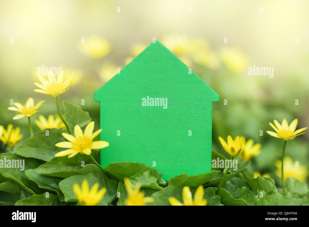 Green House sur fond de fleurs. Copier l'espace. Maquette. Décarbonisation de l'immobilier. Banque D'Images Green House sur fond de fleurs. Copier l'espace. Maquette. Décarbonisation de l'immobilier. Banque D'Images