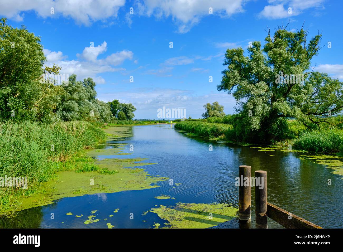 Mecklembourg Paysage de la rivière près de Nehringen, Mecklembourg-Poméranie occidentale, Allemagne. Banque D'Images