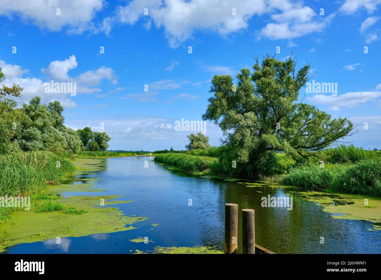 Mecklembourg Paysage de la rivière près de Nehringen, Mecklembourg-Poméranie occidentale, Allemagne. Banque D'Images