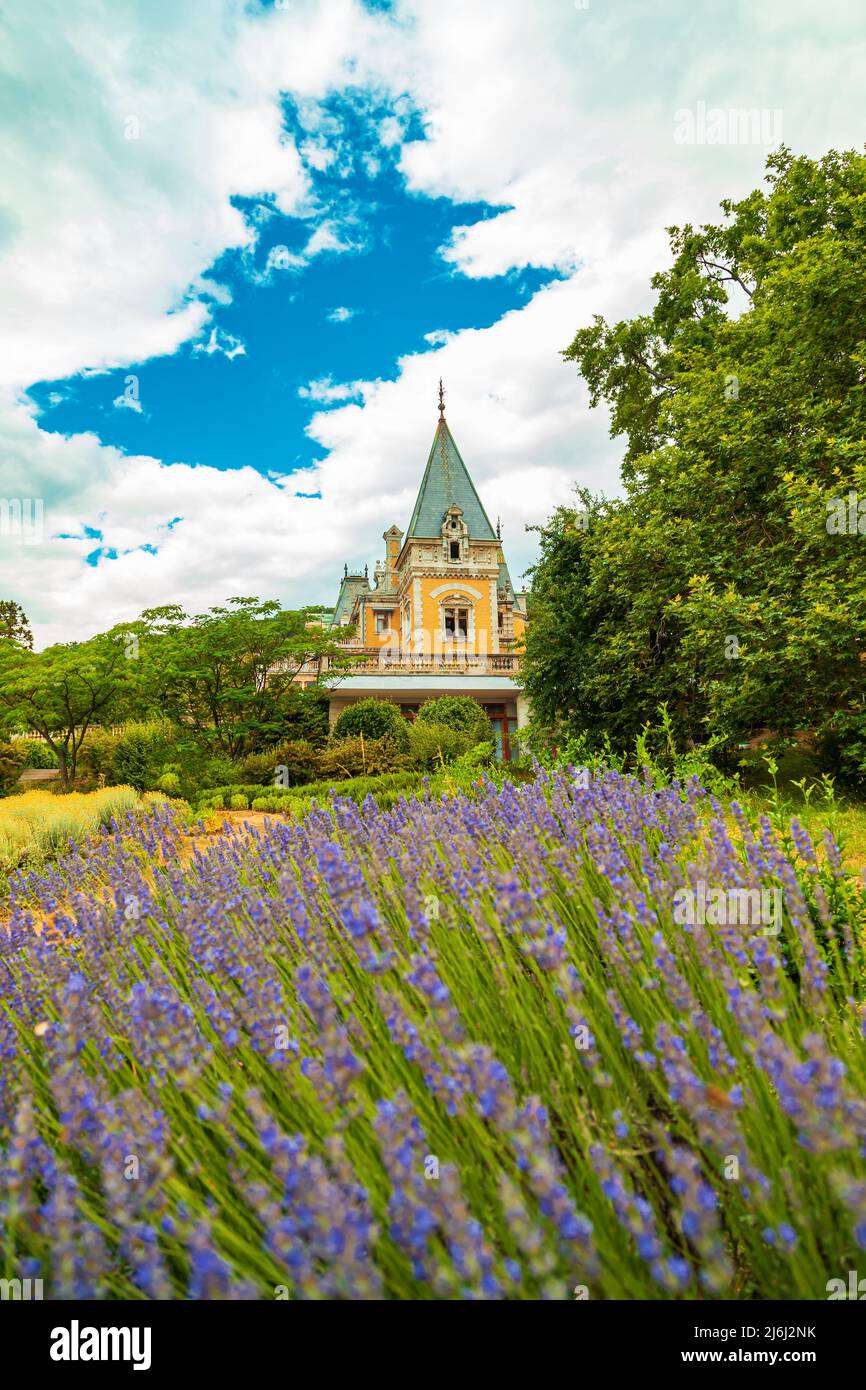 Palais Massandra et petit champ de lavande en Crimée. Crimée, Russie - 22 juin 2019. Banque D'Images