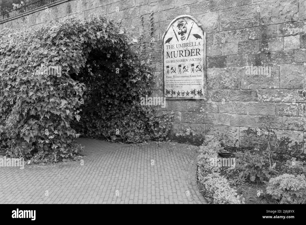 Détails de l'assassinat de Parapluie dans le jardin de poison dans les jardins d'Alnwick à Alnwick, Northumberland, Royaume-Uni, en avril Banque D'Images