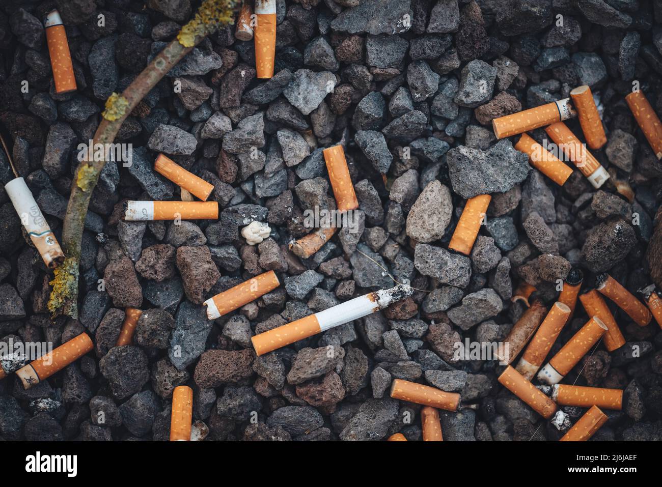 Mégots de cigarettes sur le sol de la ville Banque D'Images