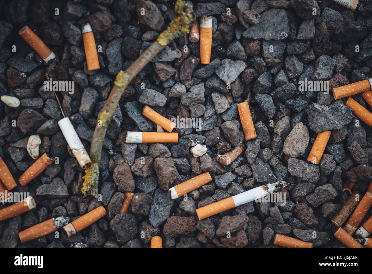 Mégots de cigarettes sur le sol de la ville Banque D'Images