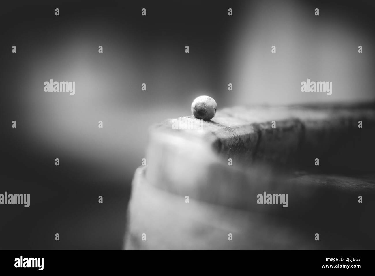 Macro-vision des raisins de la vigne bleue sur le vin le baril. Les raisins pour faire du vin de glace. Vue détaillée d'un Cabernet Franc de vignes dans un vignoble en automne. Banque D'Images