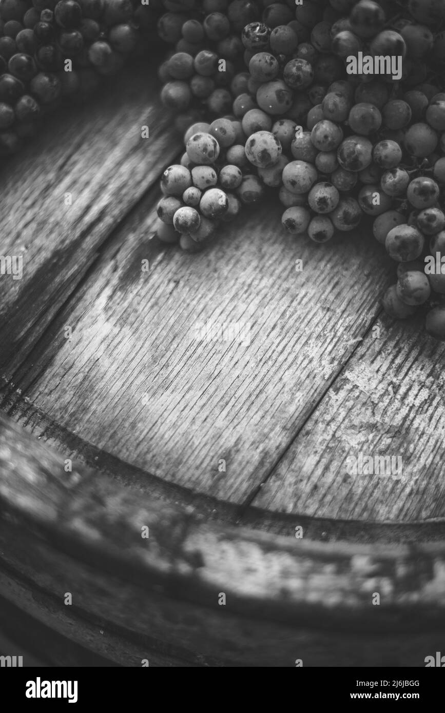 Raisins sur le tonneau en bois dans le vignoble, Hongrie Banque D'Images