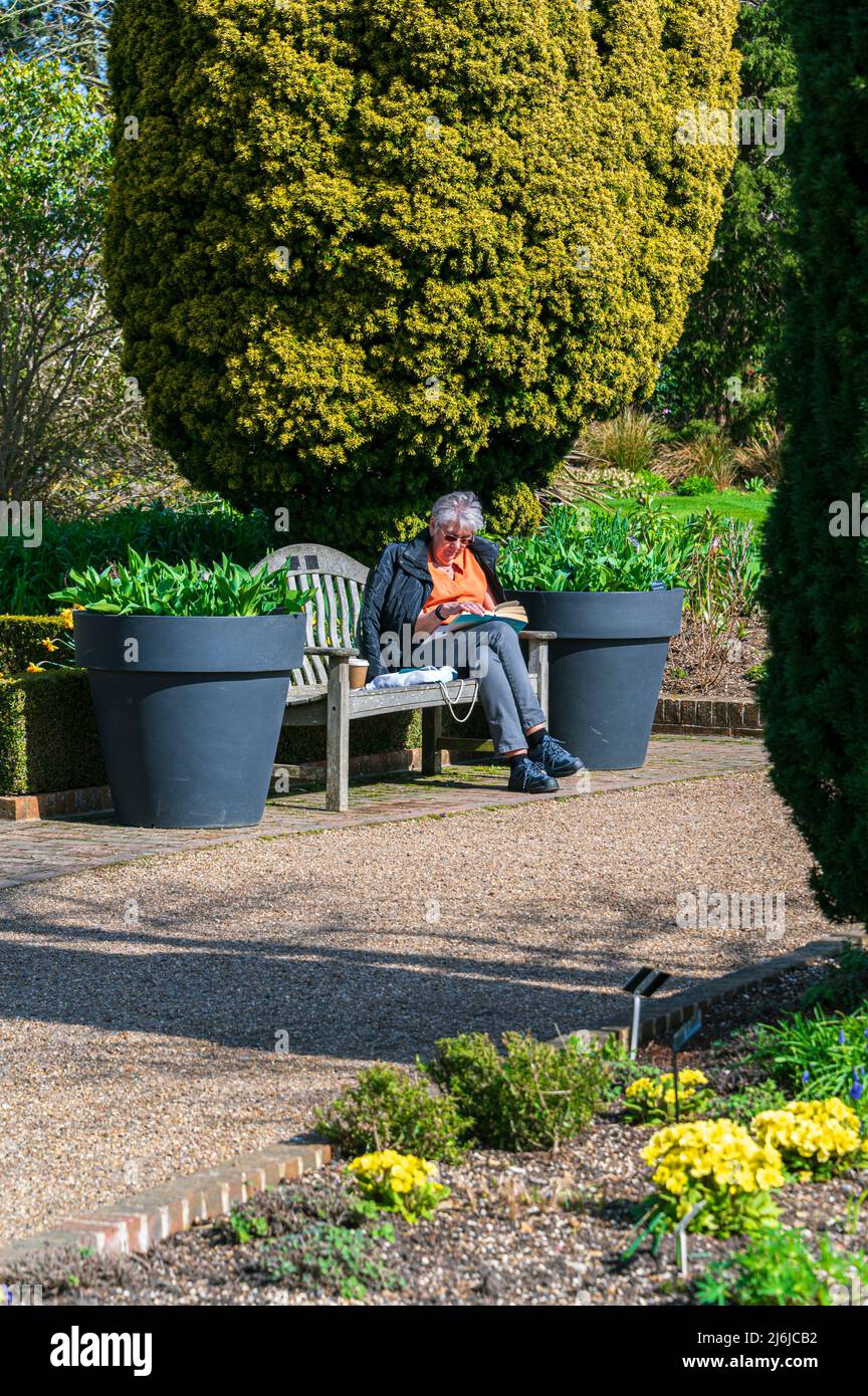 Une dame âgée qui lit dans le jardin. Banque D'Images