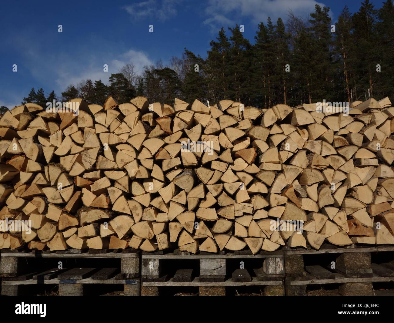 Trois versions de bois, la forêt derrière la pile de bois de chauffage debout sur des palettes en bois. Toutes les bonnes choses arrivent en trois. Banque D'Images