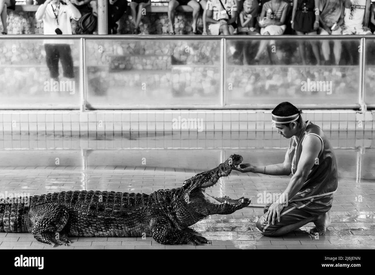 Pattaya, Thaïlande - 7 décembre 2009 : salon de la ferme aux crocodiles de Pattaya. L'interprète met sa main dans la bouche du crocodile. Photographie en noir et blanc Banque D'Images