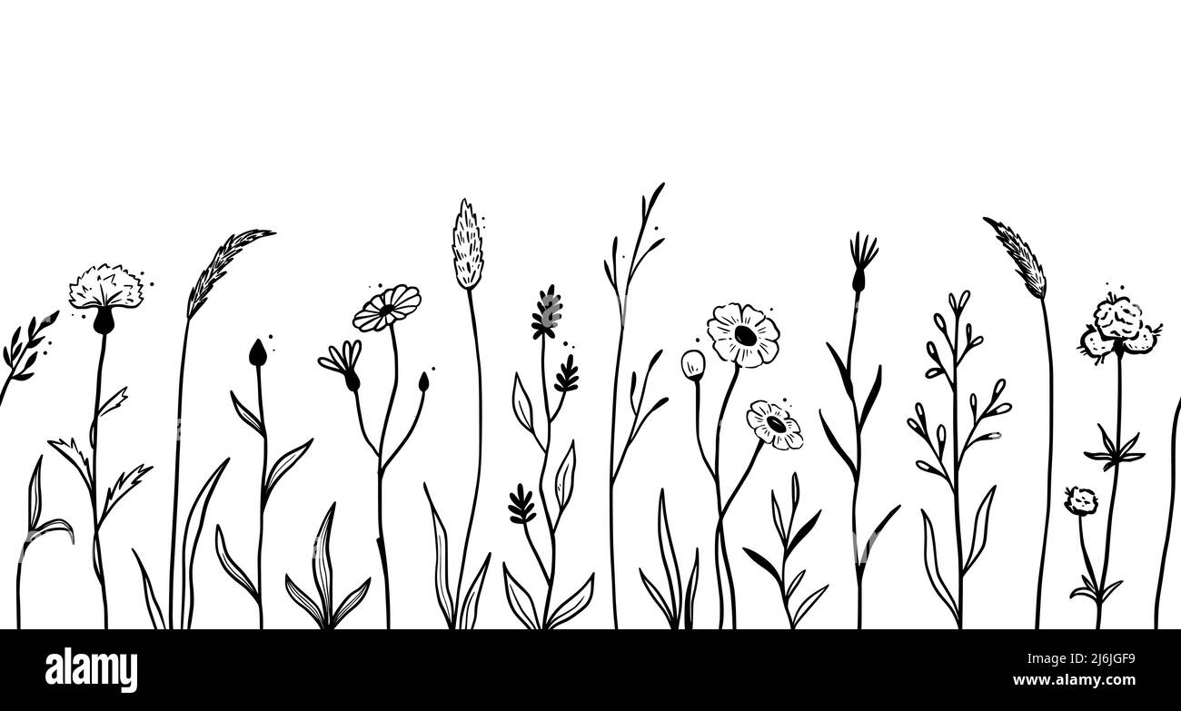 Motif sans couture de la ligne de fleurs du champ sauvage. Motif d'esquisse de style join dessiné à la main élément floral sauvage pour un arrière-plan de printemps nature. Illustration vectorielle de la fleur et du champ d'herbe de jardin. Illustration de Vecteur