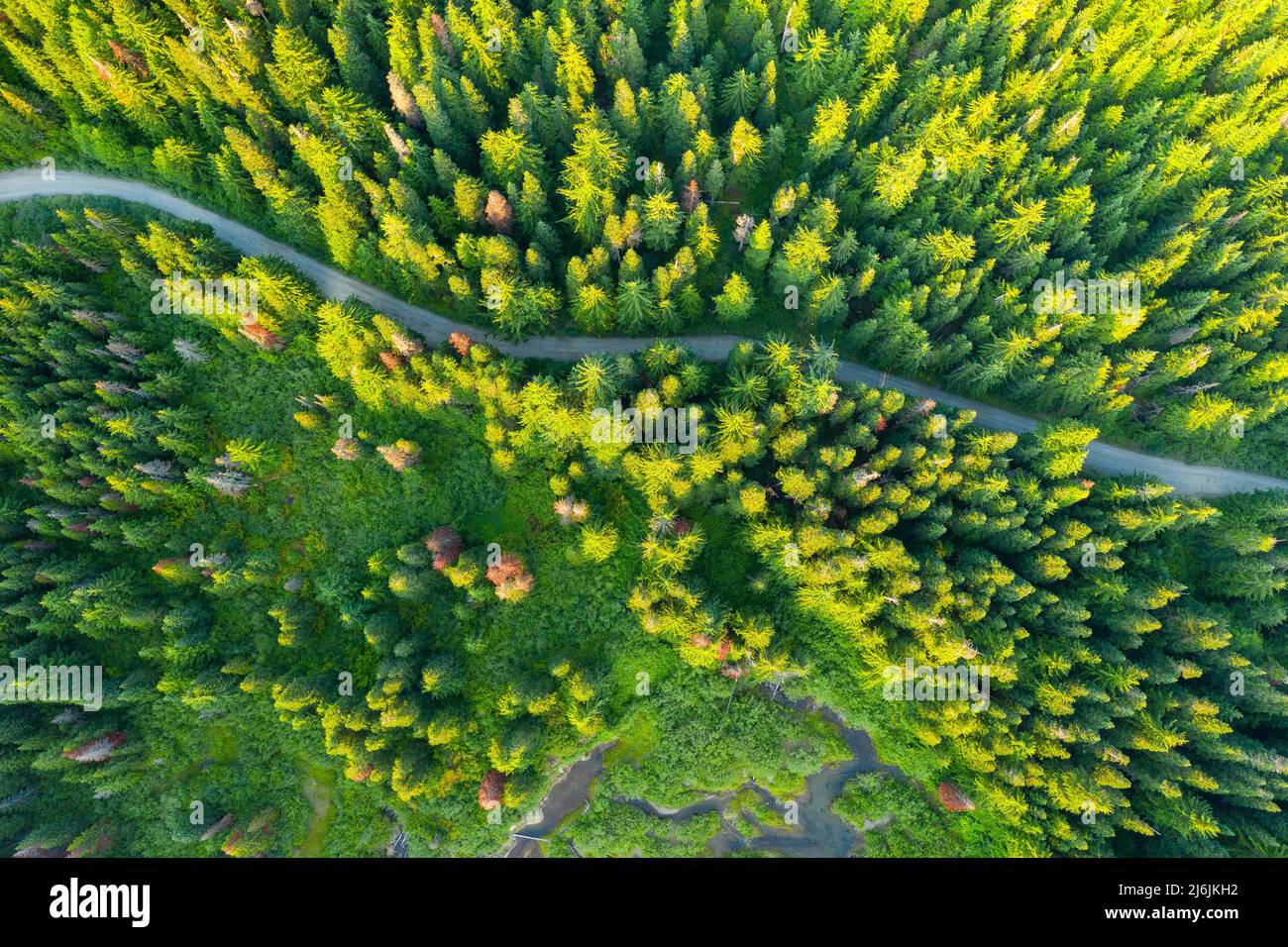 Amabilis Mountain est une montagne dans l'État de Washington Banque D'Images