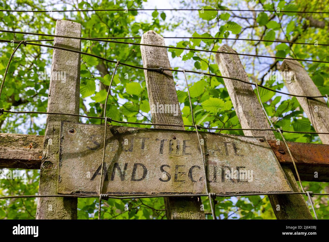 Fermer la barrière de sécurité à l'épreuve des cerfs Hayley Wood, Cambs Banque D'Images