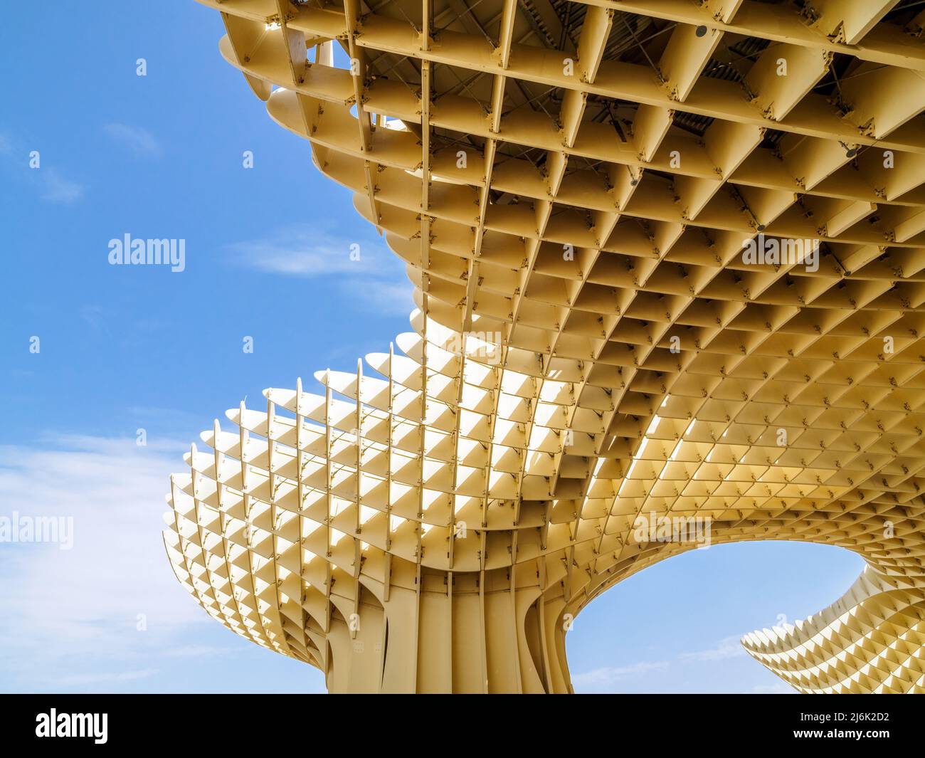 Détail de la structure en bois du parasol Metropol, également connu sous le nom de Las Setas (champignons) - Séville, Espagne Banque D'Images