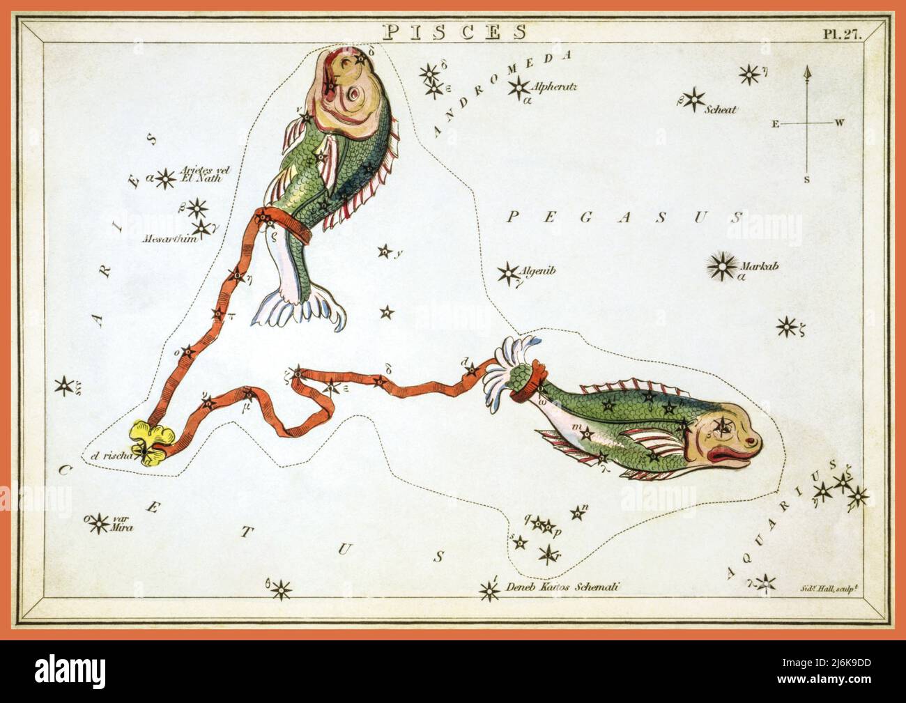 'Pisces' Star Sign Vintage 1800s Illustration, plaque 27 dans le miroir d'Urania, un ensemble de cartes célestes accompagné d'un traité familier sur l'astronomie ... par Jehoshaphhat Aspin. Londres. Carte astronomique, 1 impressions sur carton en couches : gravure, couleur main. Sidney Hall - miroir d'Urania - poissons 1825 Banque D'Images