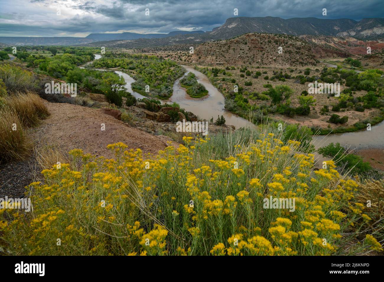 États-Unis, Sud-Ouest, Nouveau-Mexique, Abiquiu, Rio Chama Banque D'Images