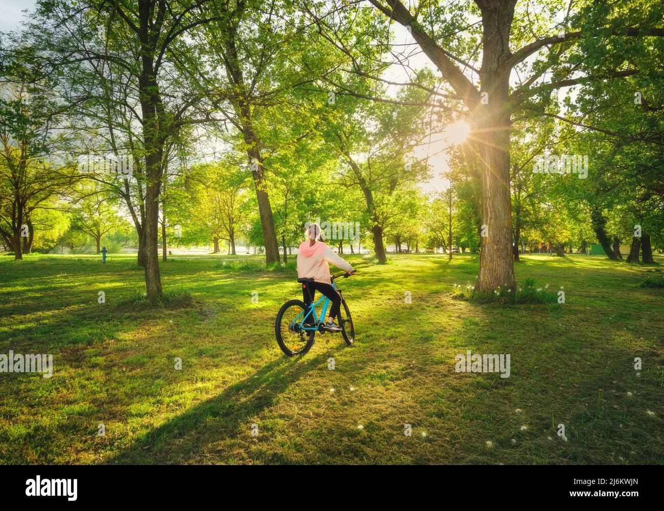 Femme à vélo de montagne près des arbres verts au coucher du soleil dans le sprin Banque D'Images