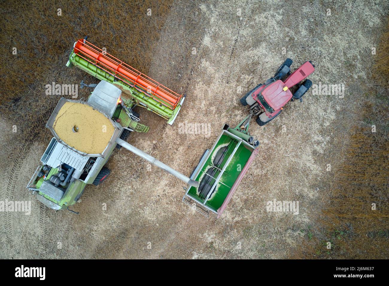Vue aérienne de la moissonneuse-batteuse déchargeant le grain dans une remorque de chargement travaillant pendant la saison de récolte sur un grand champ de blé mûr. Agriculture et Banque D'Images
