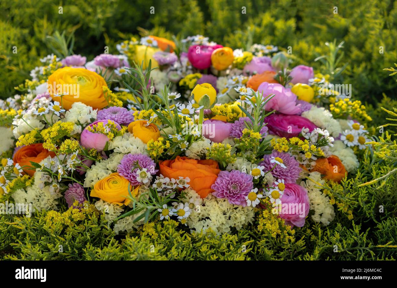 Couronne de fleurs vue rapprochée. Fleurs sauvages et herbes fraîches et colorées, nature du jardin, printemps. Bouquet de fête des femmes ou des mères Banque D'Images