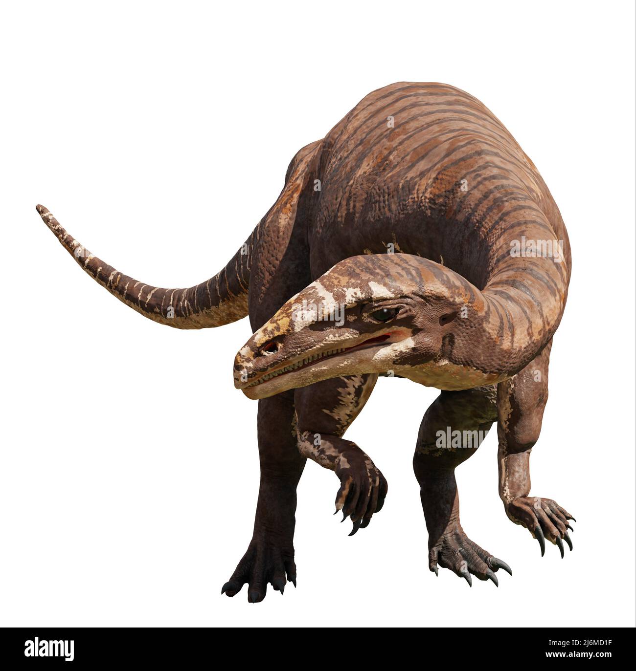 Plateaux engelhardti, dinosaure prosauropode de l'époque du Trias tardif, isolé sur fond blanc Banque D'Images