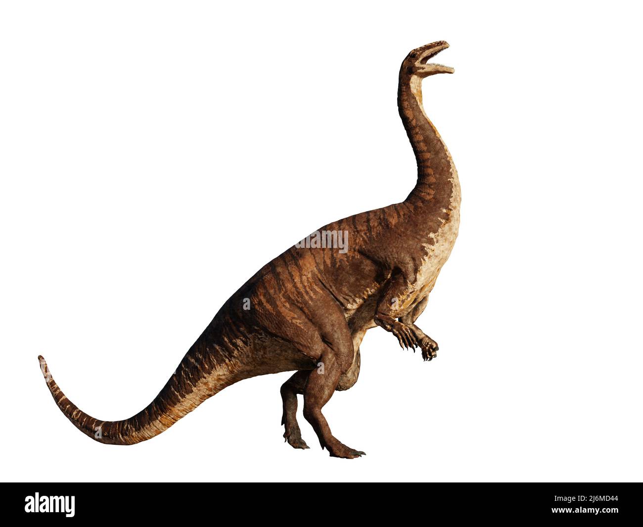 Plateaux, dinosaure bipédique de la période du Trias tardif, isolés sur fond blanc Banque D'Images