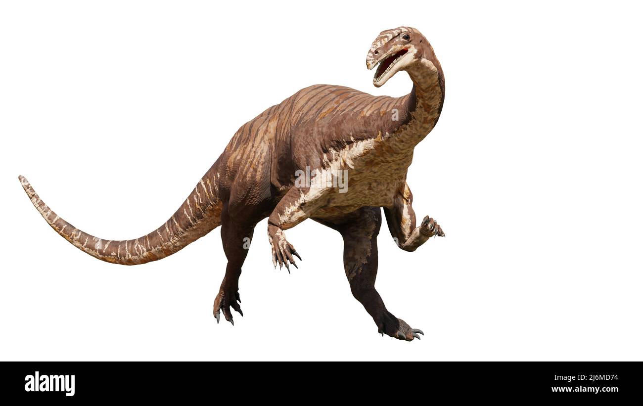 Plateaux, dinosaure d'il y a 214 à 204 millions d'années, isolés sur fond blanc Banque D'Images