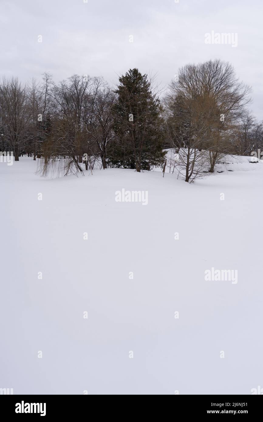 Parc de Nakajima en hiver, ville de Sapporo, Hokkaido, Japon Banque D'Images