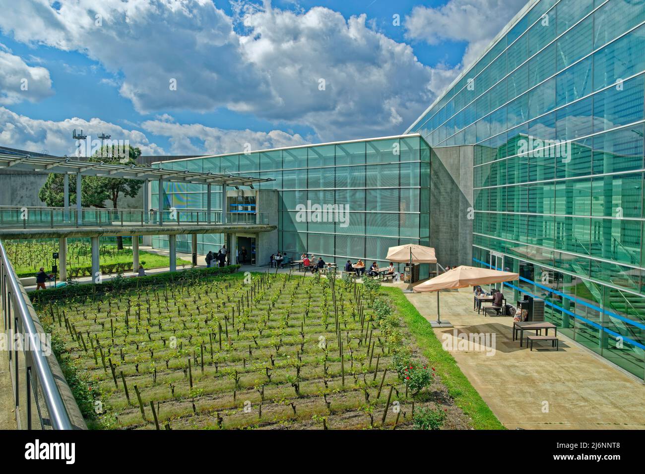 Aéroport de Bordeaux Mérignac espace détente avec vignes et roseraies, Acquitaine, France. Banque D'Images