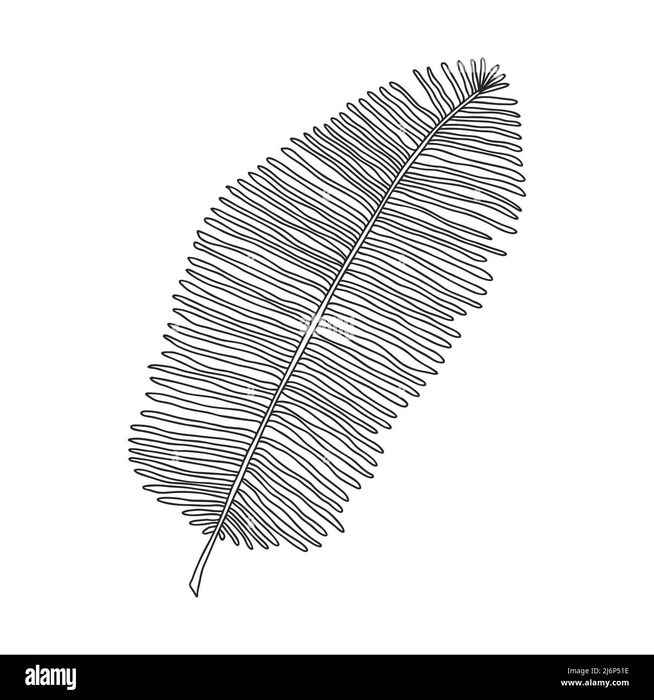 La feuille de palmier est une plante tropicale avec des feuilles étroites. Élément de conception botanique pour la conception de magazines, d'articles et de brochures. vec noir-blanc simple Illustration de Vecteur