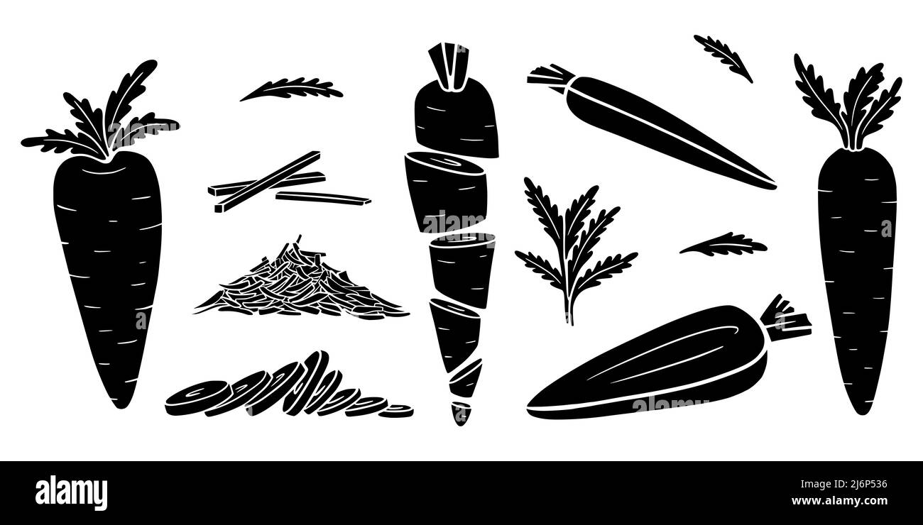 Silhouettes de carottes de style Doodle. Collection de légumes dessinés à la main. Ensemble d'éléments isolés sur un fond blanc. Pour la conception d'emballages alimentaires, Illustration de Vecteur