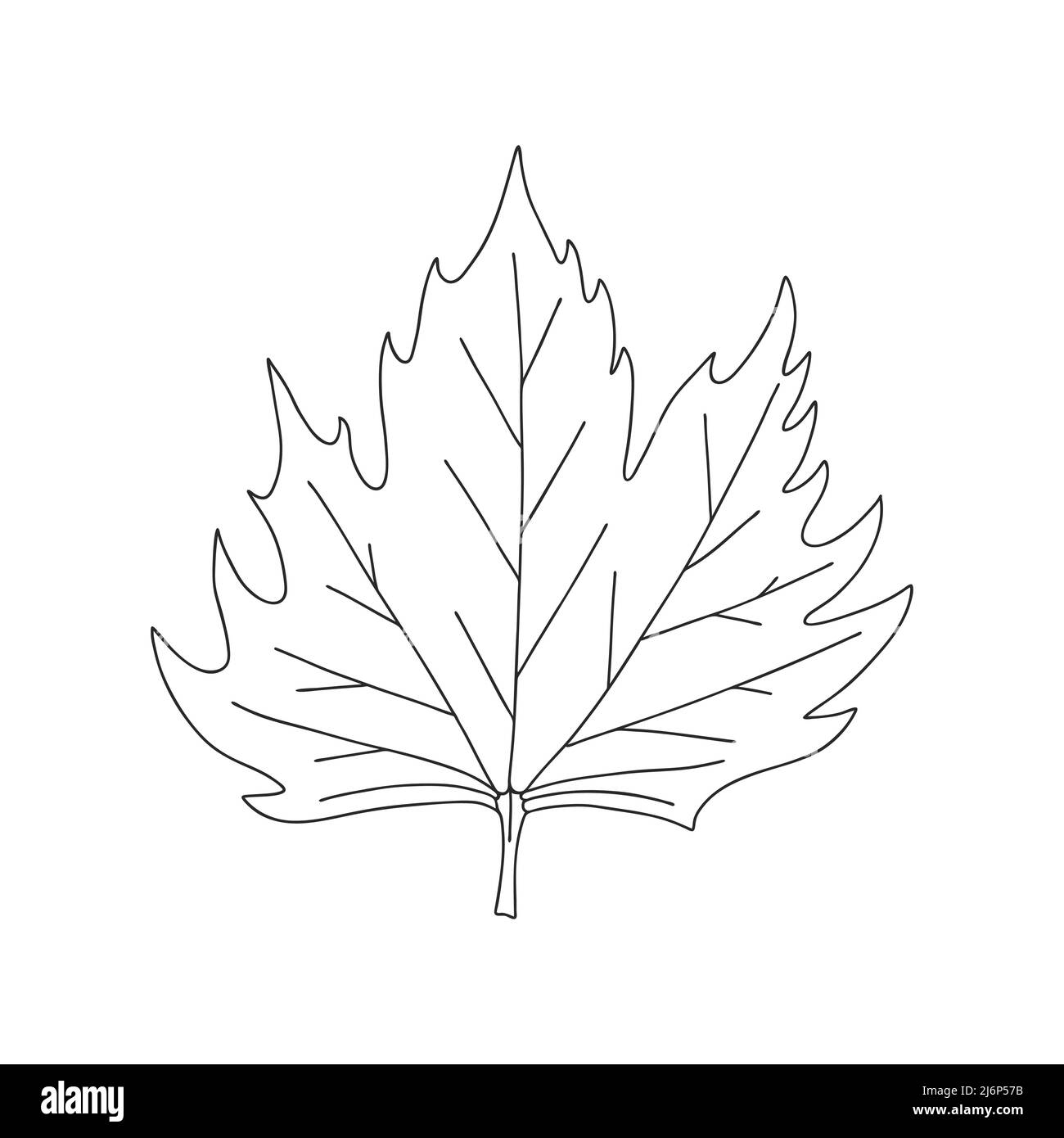 Feuille d'érable. Élément décoratif botanique. Symbole de l'automne. Illustration vectorielle simple en noir et blanc, dessinée à la main, isolée sur fond blanc Illustration de Vecteur
