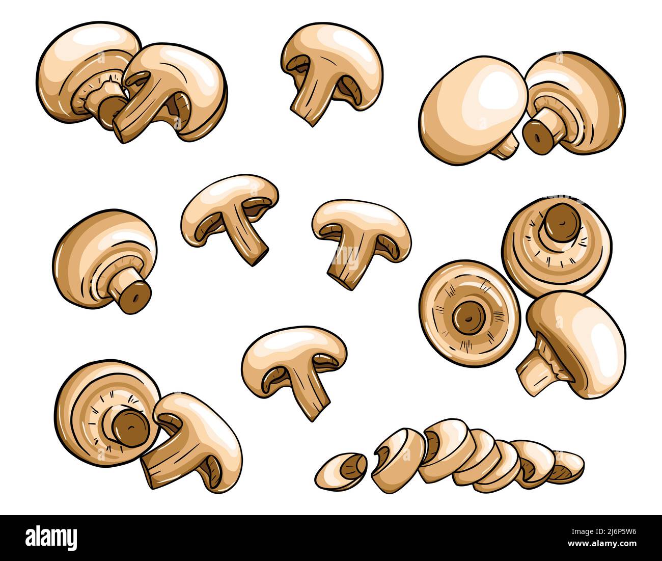 Champignons dessinés à la main. Les champignons dans un style plat avec un contour sont isolés sur un fond blanc. Entier, coupé, tranches, moitiés. Illustration du vecteur de couleur Illustration de Vecteur