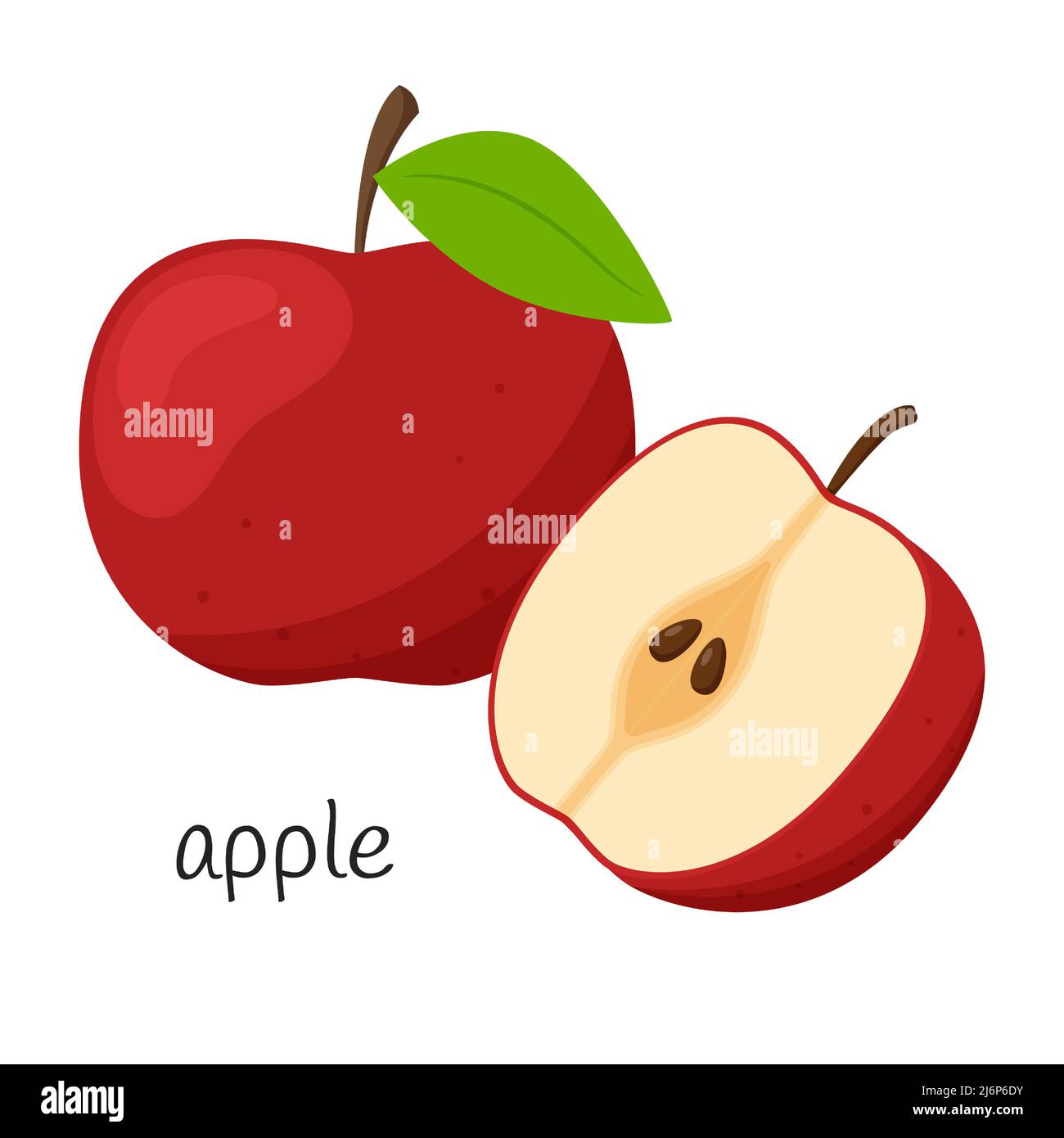 Pomme entière et moitié avec des graines. Pomme coupée en deux. Style plat. Icône fruit. Illustration à vecteur de couleur isolée sur fond blanc Illustration de Vecteur