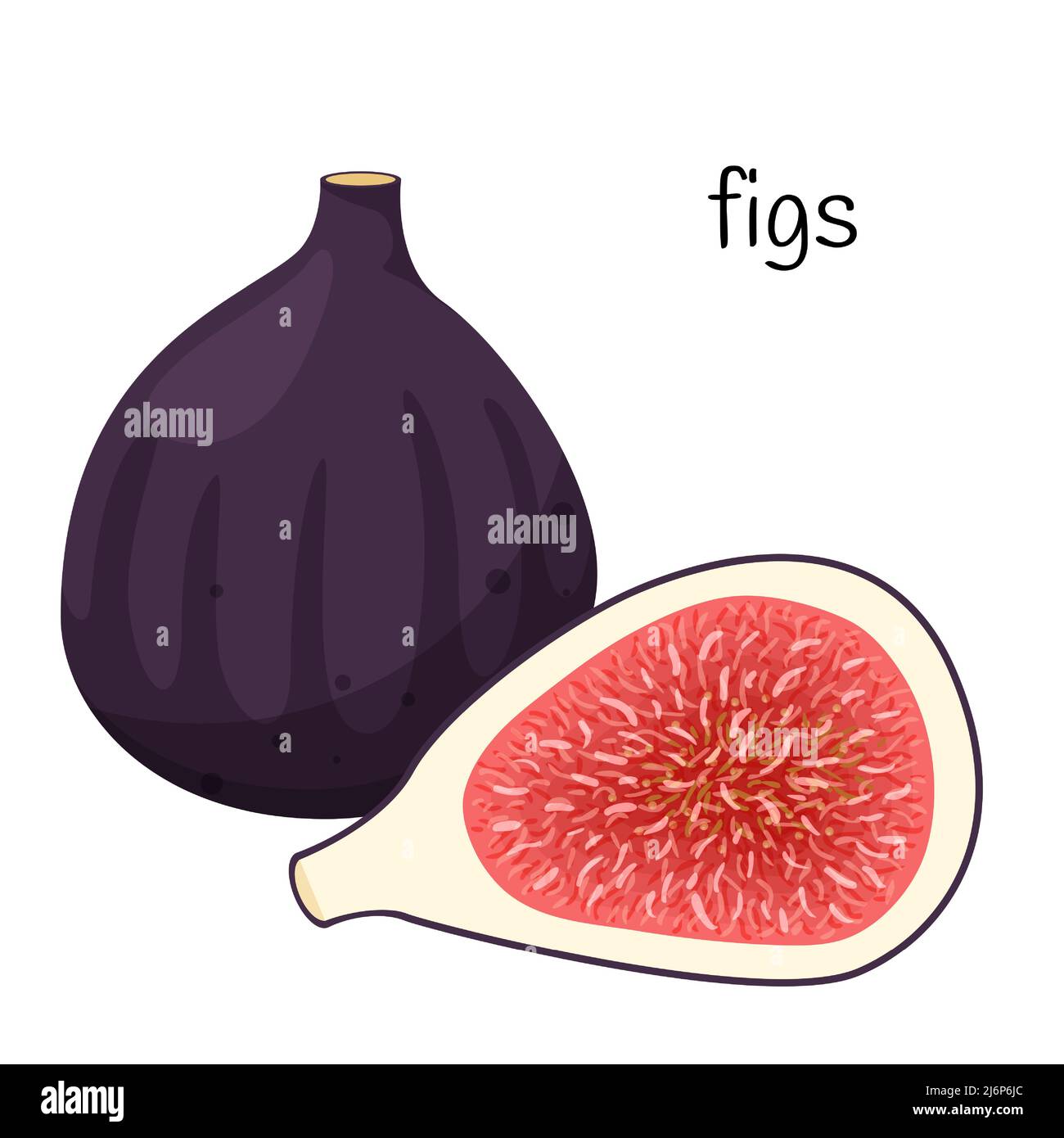 Un fruit de la Fig entier et une moitié coupée avec des graines et de la pulpe. Icône de fruits exotiques. Conception plate. Illustration à vecteur de couleur isolée sur fond blanc Illustration de Vecteur