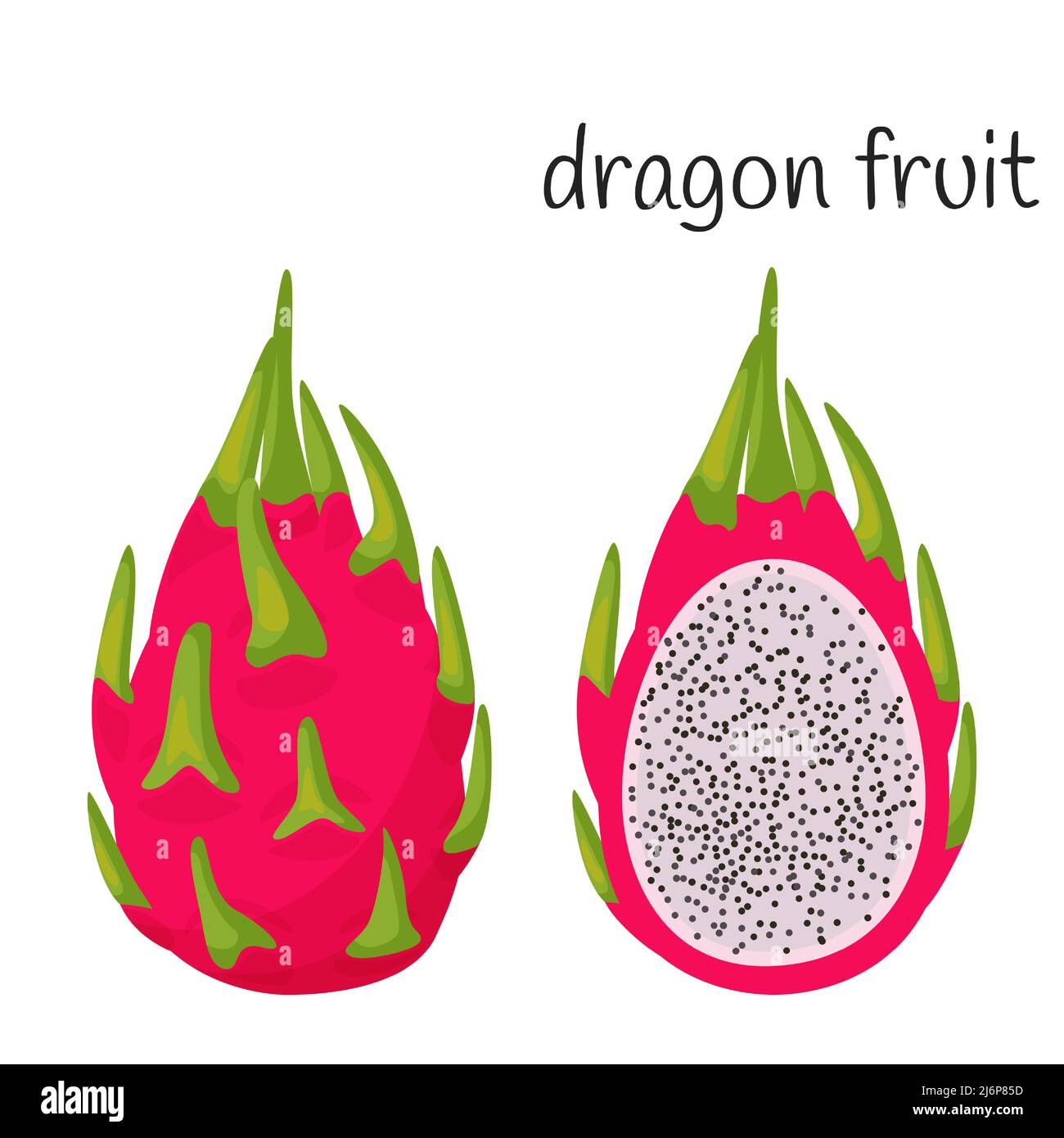 Un fruit dragon entier dans la peau avec des feuilles et couper la moitié avec des graines et de la pulpe. Exotique, icône de fruits tropicaux. Style plat. Illustration à vecteur de couleur isol Illustration de Vecteur