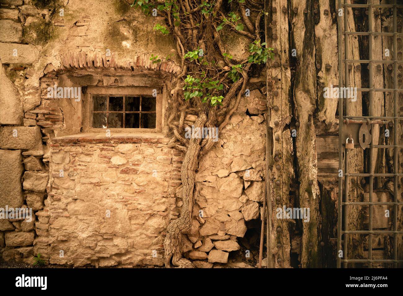 Bâtiment ancien en pierre extérieur avec fenêtre et plante rampante sur le bâtiment européen médiéval Banque D'Images