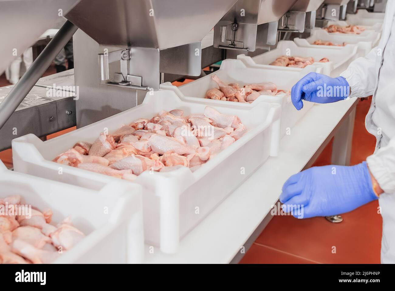 Convoyeur de tapis Food.The Meat Factory.chaîne de production automatisée dans une usine alimentaire moderne.conteneurs sur une ligne de convoyeur avec pilon de poulet cru.Factory Banque D'Images