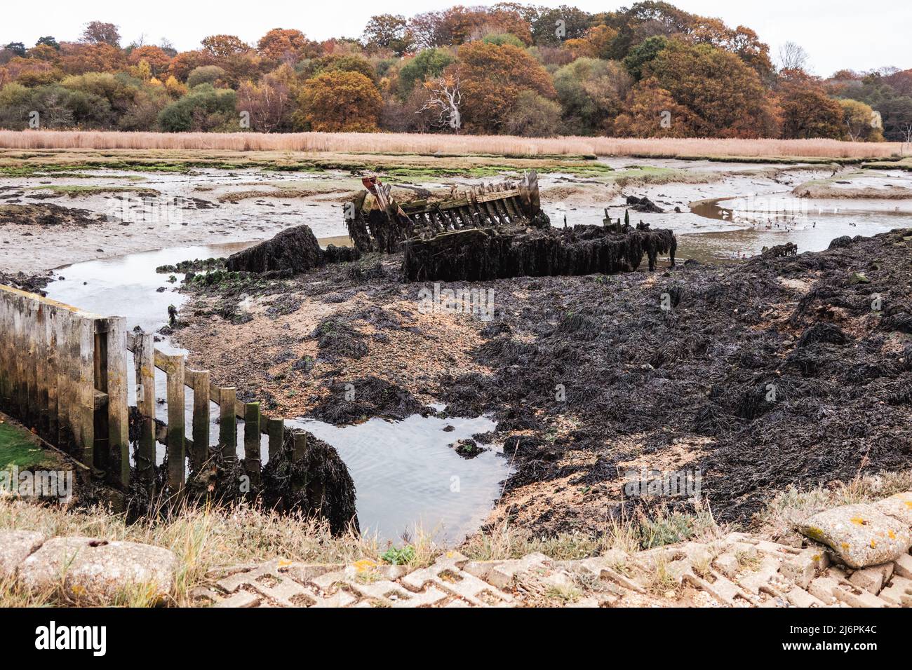 Vestiges d'un vieux bateau en bois dans les marais de la rivière Hamble dans le Hampshire Angleterre Banque D'Images