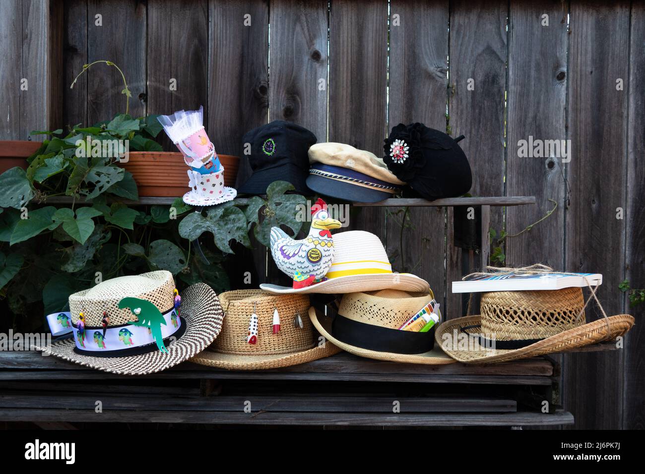 Mad Hatter Tea Party hats. Chapeaux fantaisie. Présentation de chapeaux avec objets à thème Banque D'Images