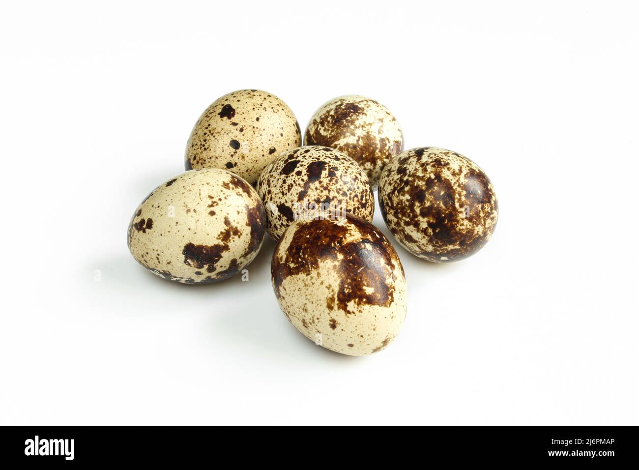 Bouquet de petits œufs de caille isolés sur fond blanc Banque D'Images