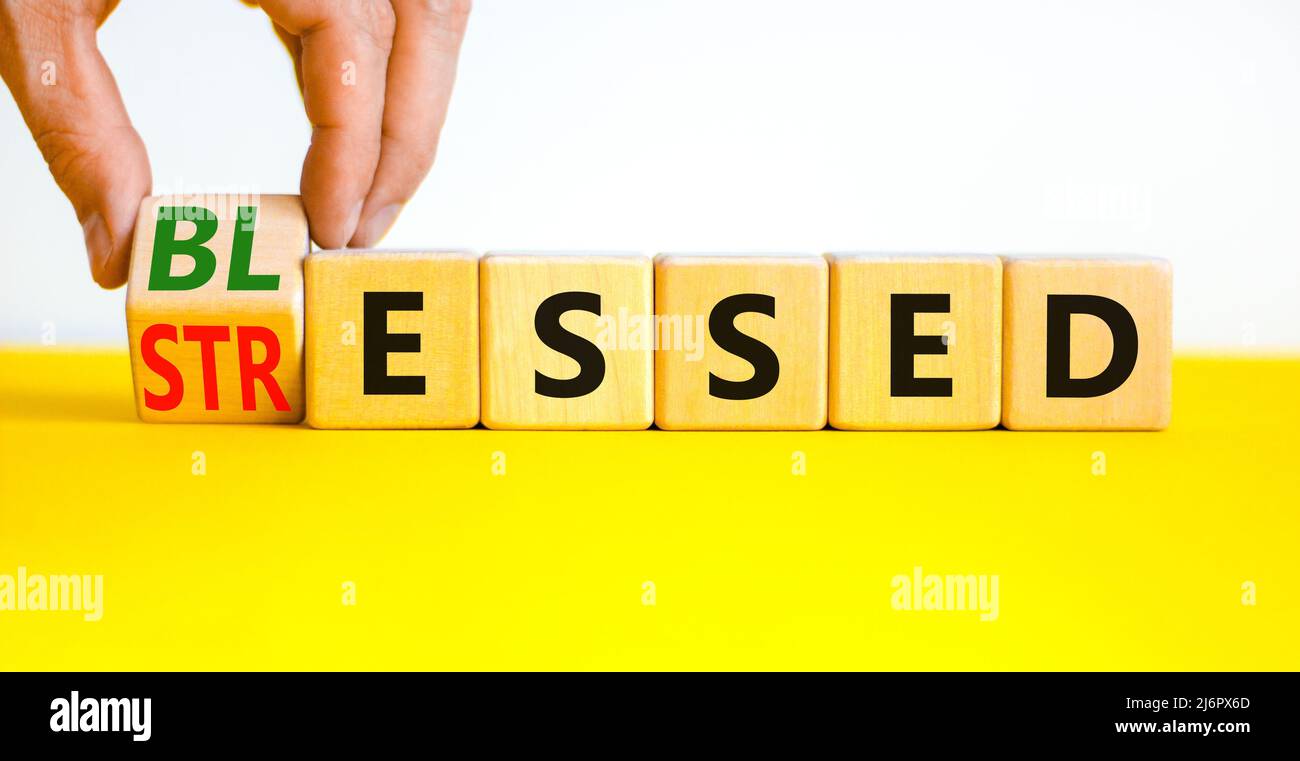 Symbole béni ou stressé. L'homme d'affaires tourne des cubes en bois et change le mot concept souligné à Blessed. Magnifique table jaune fond blanc. Banque D'Images