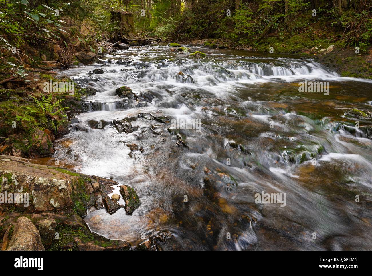 Belle cascade de forêt tropicale de montagne avec eau et rochers à écoulement rapide, longue exposition. Voyage saisonnier naturel en extérieur. Mise au point sélective, Banque D'Images