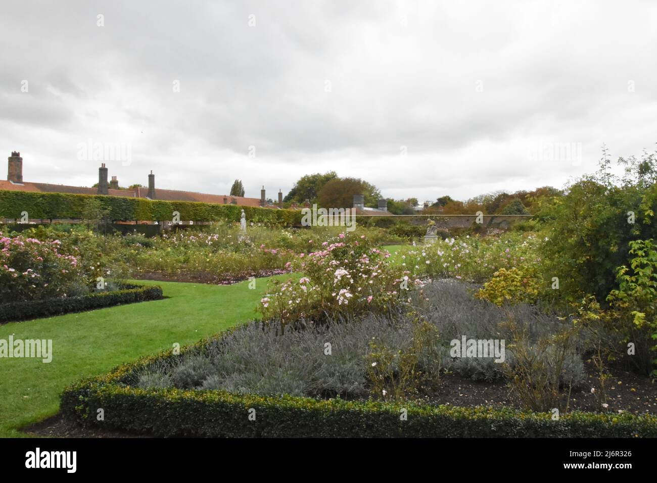 The Rose Garden, Hampton court Palace, Richmond, Londres, Angleterre. Banque D'Images